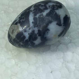 تصویر جاسپر گورخرکد 509 