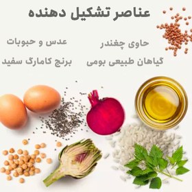 تصویر غذای خشک گربه بابین با طعم مرغ بابین Babin Adult Chicken وزن 3 کیلوگرم 