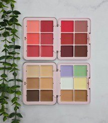 تصویر پالت کانتور حرفه‌ای کارلا سکرت ۱۲ رنگ 