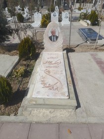 تصویر سنگ مرمر نباتی کد0257 