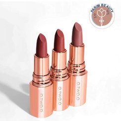 تصویر رژلب جامد اتوو O.TWO.O Matte Finish Waterproof Long Wear Silky Lipstick 