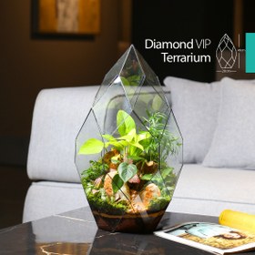 تصویر تراریوم دایموند VIP کد G08 