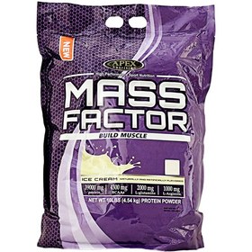 تصویر پودر عضله ساز مس فکتور اپکس همراه با شیکر 4.5 کیلوگرم ا Apex Mass Factor Powder Ice Cream 4.5 Kg Apex Mass Factor Powder Ice Cream 4.5 Kg