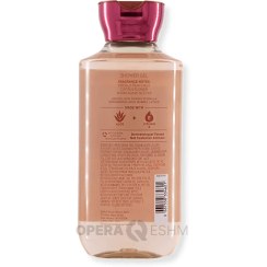 تصویر لوسیون بدن بث اند بادی ورکز Bath And Body Works Wild Sand Body Lotion 236ml Bath And Body Works Wild Sand Body Lotion