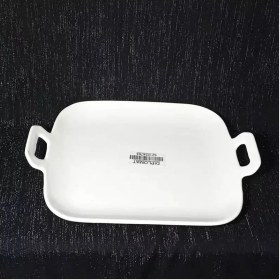 تصویر دیس دو دسته دیپلمات 