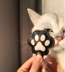 تصویر جاکلیدی نگهدارنده موی پت 