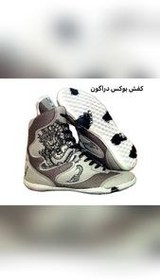 تصویر کفش بوکس مدل دراگون 