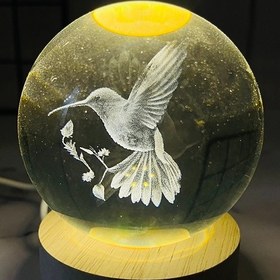 تصویر گوی طرح پرنده 