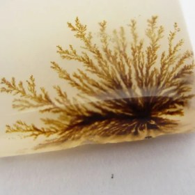 تصویر سنگ شجر کد 2320 