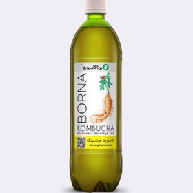 تصویر نوشیدنی کامبوچا جینسینگ برنا کامبوچا - 1 لیتر Kambucha Ginseng Drink Borna Kambucha - 1 liter