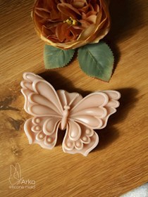 تصویر قالب پروانه قالب سیلیکونی پروانه