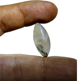 تصویر نگین شجر شکوفه بسیارزیبا تراش مارکیز 