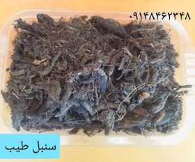 تصویر سنبل طیب _ ۵۰ گرم 