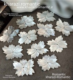 تصویر صدف اصل مدل گل 