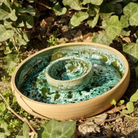 تصویر ظرف مزه خوری 