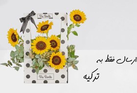 تصویر باکس گل آفتابگردان برای استانبول 