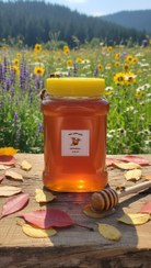 تصویر عسل خالص و طبیعی ۵۰۰گرم 