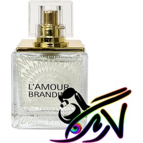 تصویر عطر ادکلن زنانه مدل Lamore حجم 33 میل برندینی Brandini Lamore Women Parfum For Women 33ml