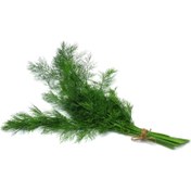 تصویر بذر شوید 10، 100 و 500 گرمی