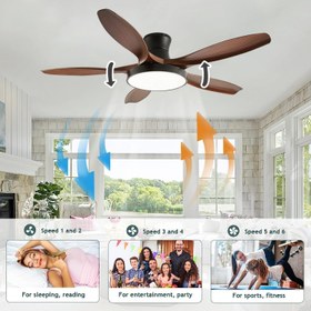 تصویر پنکه سقفی LIODUX 