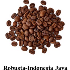 تصویر دان قهوه روبوستا اندونزی جاوا SC20(فله) - مدیوم دارک Robusta indonesia Java