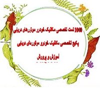 تصویر 1000 نمونه سوالات تست تخصصی مکانیک خودرو موتورهای دریایی 