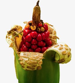 تصویر بذر گیاه باباآدم جاینت (3عددی) 