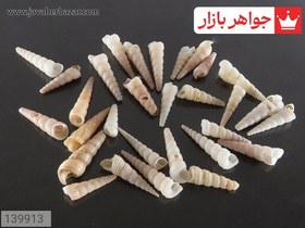 تصویر نگین صدف ریز زیبا کد 139913 