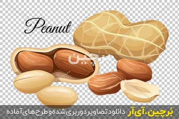 تصویر بادام زمینی png 