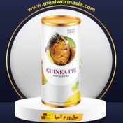 تصویر غذای خوکچه هندی 