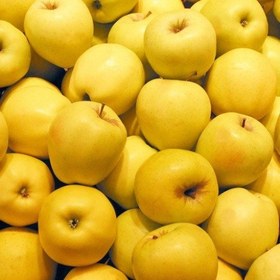 تصویر سیب زرد 