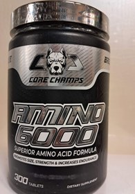 تصویر آمینو 6000 کور چمپس CORE CHAMPS AMINO 6000