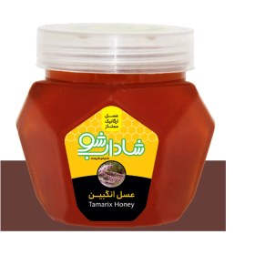 تصویر عسل انگبین 1 کیلوگرم 