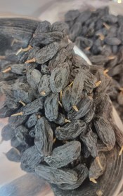 تصویر مویز دمدار 