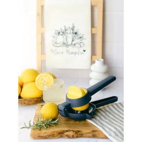 تصویر آبمیوه گیری سیتروس 