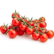 تصویر بذر گوجه گیلاسی قرمز ( گلدانی) 