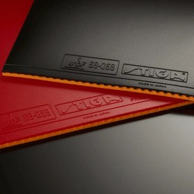 تصویر رویه Mantra Pro H استیگا 