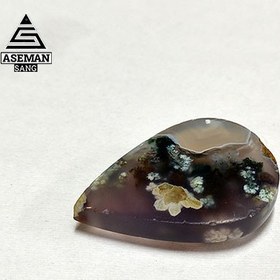 تصویر شجر S65 