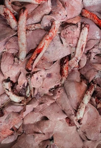 تصویر فروشگاه پخش امیت