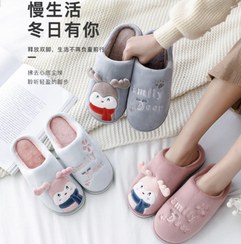 تصویر پاپوش زنانه 