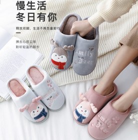 تصویر پاپوش زنانه 