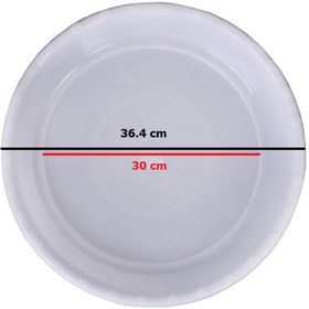 تصویر زیرگلدانی مدل p13 - 36.4 cm (30) 