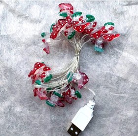 تصویر ریسه قارچ قرمز 