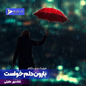 تصویر دانلود موزیک بیکلام بارون دلم خواست شادمهر 
