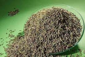 تصویر رازیانه نگین طبیعت 