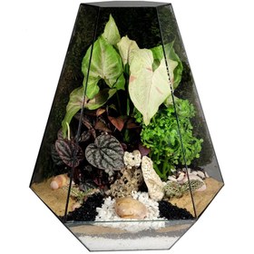 تصویر تراریوم مدل رویال سرکج کد 01 