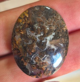 تصویر شجر مشکی سایز مدالی Shajar paize