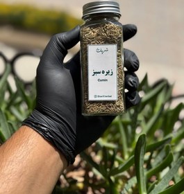 تصویر زیره سبز 