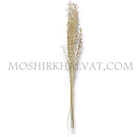 تصویر گل خشک مدل اشکی سفید 