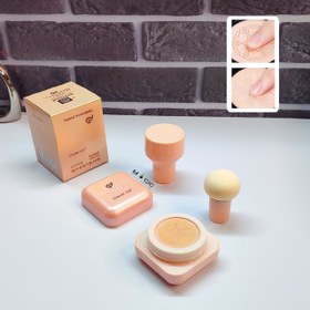 تصویر کوشن بی بی کرم حلزون کلور کت همراه پد قارچی ‌Clever Cat Snail Cushion BB CREAM ‌ 